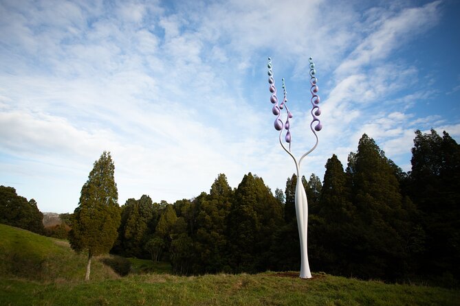 Matakana Art & Vineyard Experience incl. Lunch & Wine Tasting Tour From Auckland - The private format and practical details