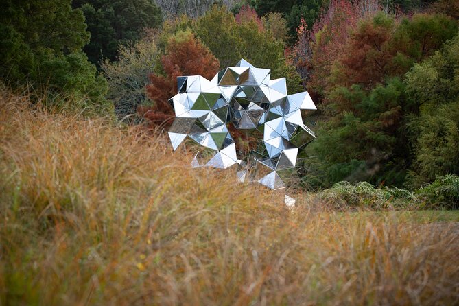 Matakana Art & Vineyard Experience incl. Lunch & Wine Tasting Tour From Auckland - Chocolate Brown starts the day on a sweet note