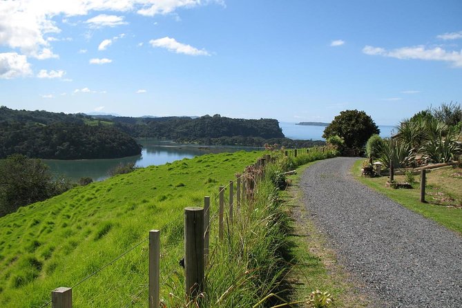 Matakana Scenic Coastal Getaway from Auckland - Key points to know before booking