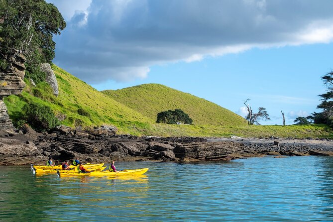 Motukorea / Browns Island Sea Kayak Journey - Why Motukorea makes a memorable Auckland outing