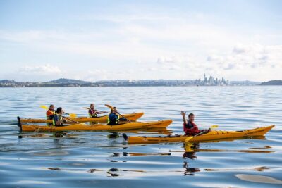 Motukorea / Browns Island Sea Kayak Journey