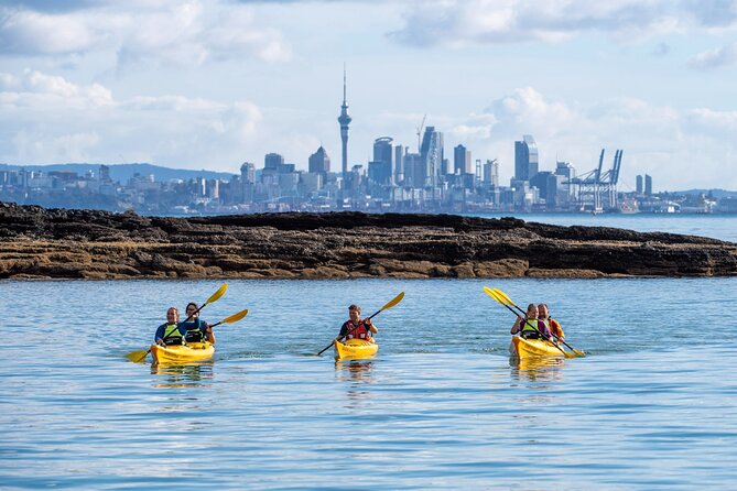 Motukorea / Browns Island Sea Kayak Journey - Who should book this kayak journey?