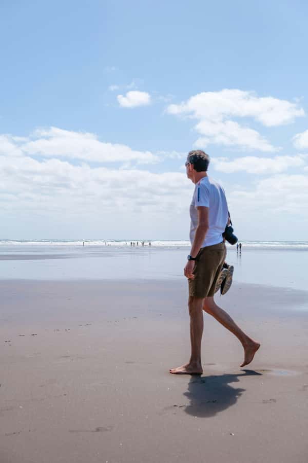 Mt. Eden, Piha Beach & Karekare Waterfalls - PRIVATE TOUR - A private route from Auckland to the west coast