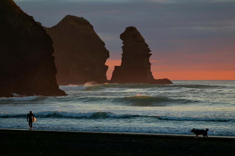 Mt. Eden, Piha Beach & Karekare Waterfalls - PRIVATE TOUR - Arataki Visitor Centre adds context before the coast