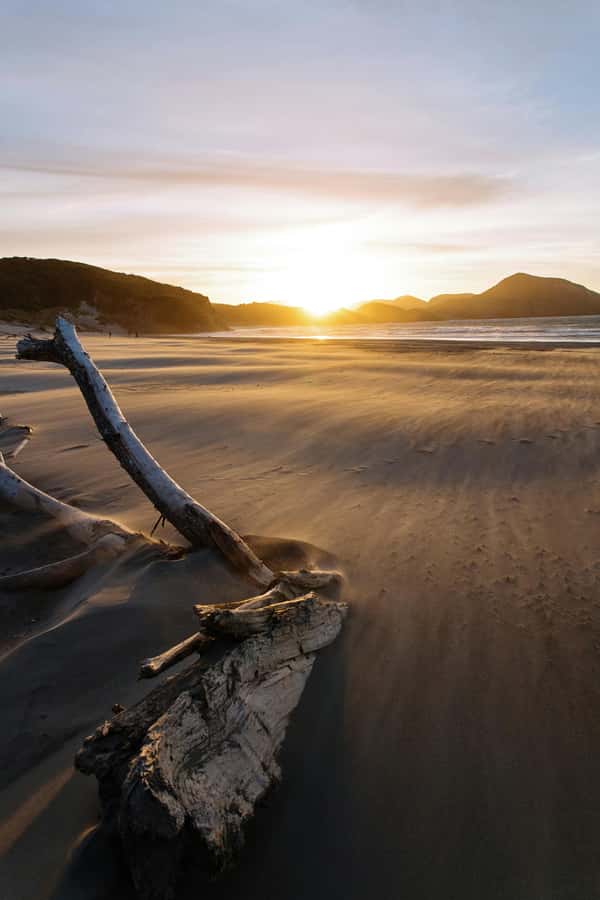 Mt. Eden, Piha Beach & Karekare Waterfalls - PRIVATE TOUR - Mt Eden begins the day with Auckland views