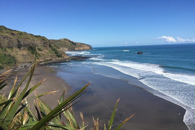 Muriwai Scenic Wine Tour from Auckland - Why this half-day tour works