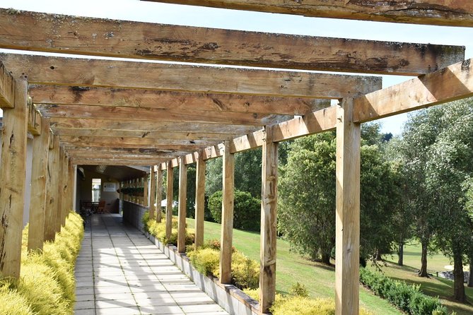 Muriwai Scenic Wine Tour from Auckland - Who should book this tour