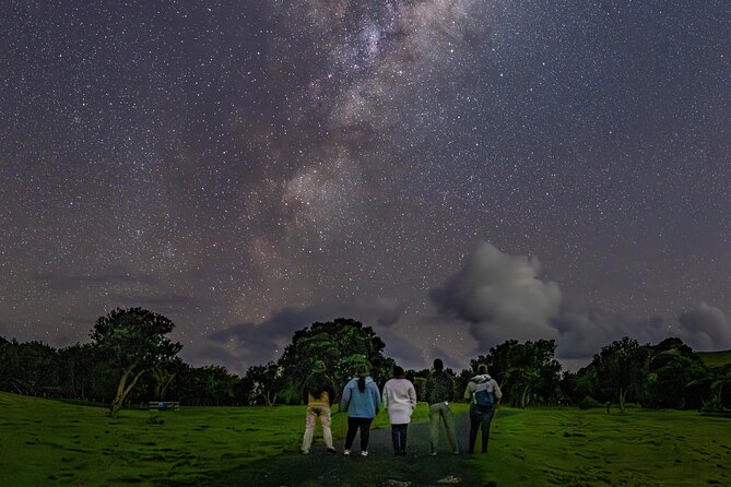 Nocturnal Wonders Tawharanui Kiwi Spotting and Stargazing Tour - Why Tawharanui is worth seeing after dark