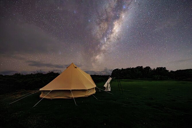 Nocturnal Wonders Tawharanui Kiwi Spotting and Stargazing Tour - What the $93.09 price really covers