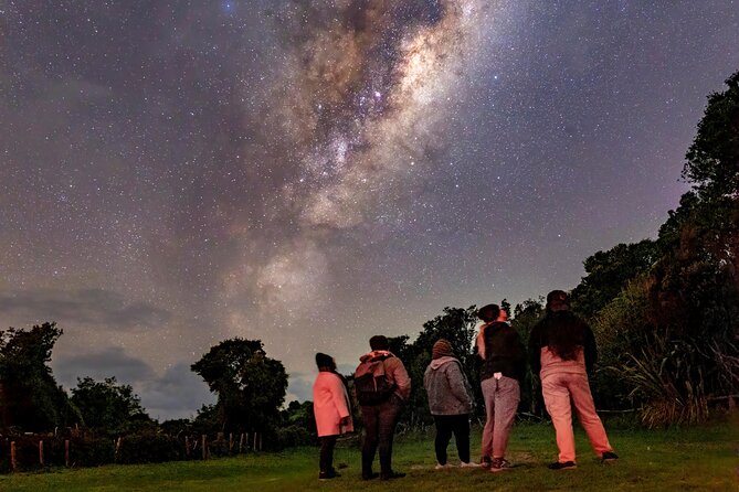 Nocturnal Wonders Tawharanui Kiwi Spotting and Stargazing Tour - Who will enjoy this most