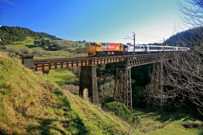 Northern Explorer Train Journey from Auckland to Wellington - Key points to know before booking