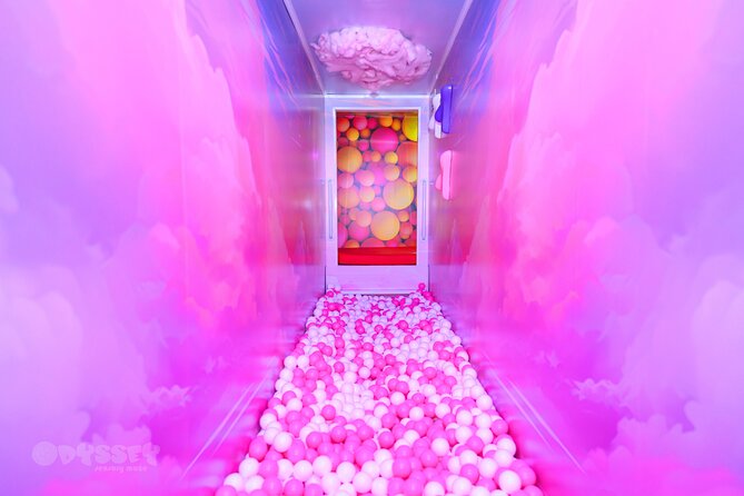 Odyssey Sensory Maze Entry Auckland Ticket - Practical rules that shape the visit