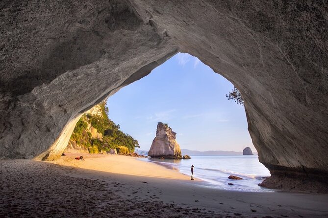Piha Beach & Wilderness Nature : PRIVATE TOUR 8 hrs - Piha Beach and the black-sand coast