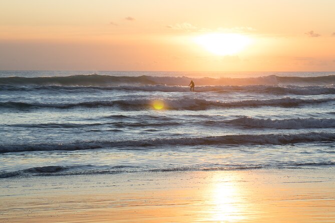 Piha Beach & Wilderness Nature : PRIVATE TOUR 8 hrs - What the private format really adds