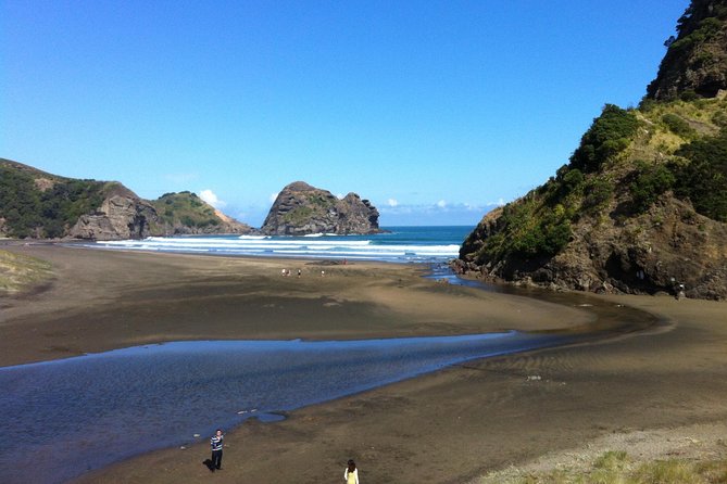 Piha Waitakere Rainforest Wine Tour from Auckland - Why this combination works so well