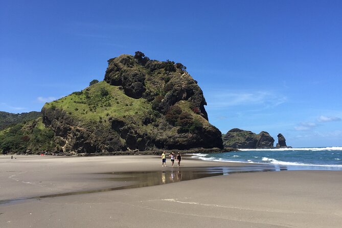 Piha Waitakere Rainforest Wine Tour from Auckland - Extra stops and route flexibility