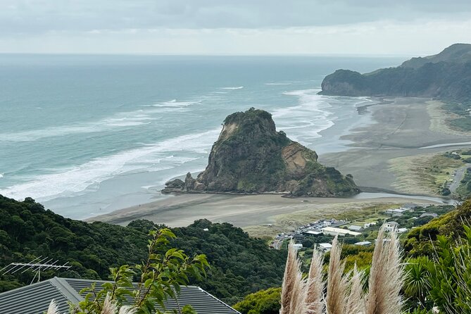 Private Auckland best Spots + Piha beach and rainforest day Tour - Key points to know before booking