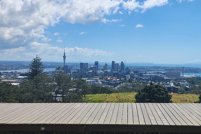 Private Auckland best Spots + Piha beach and rainforest day Tour - Auckland Domain’s Wintergardens
