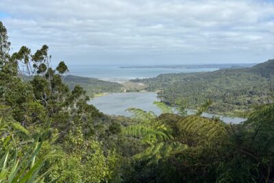 Private Auckland best Spots + Piha beach and rainforest day Tour