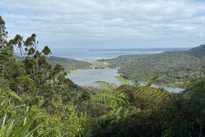 Private Auckland best Spots + Piha beach and rainforest day Tour - Mount Eden, Auckland’s volcanic viewpoint