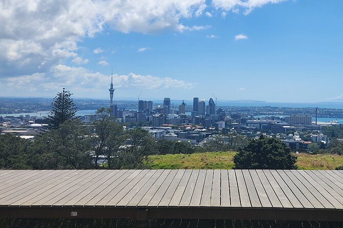 Private Auckland Best Top 5 Spots Half day Tour - Key points to know before booking