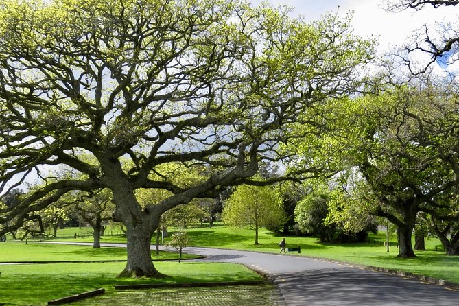 Private Auckland City Tour For Small Group in a luxury vehicle. - Bastion Point connects views with Māori history