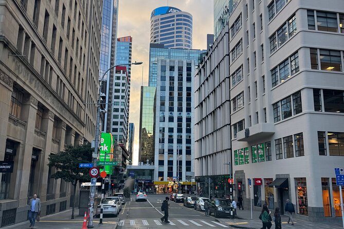 Private Auckland City Tour Including Auckland Tour House Visit - A four-hour introduction to Auckland by private vehicle