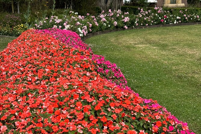 Private Auckland City Tour Including Auckland Tour House Visit - The guide and the practical comfort level