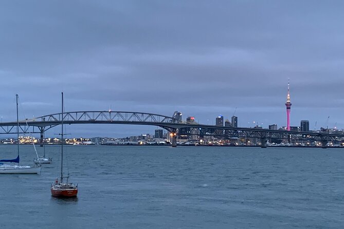Private Auckland City Tour Including Auckland Tour House Visit - Who will get the most from this tour