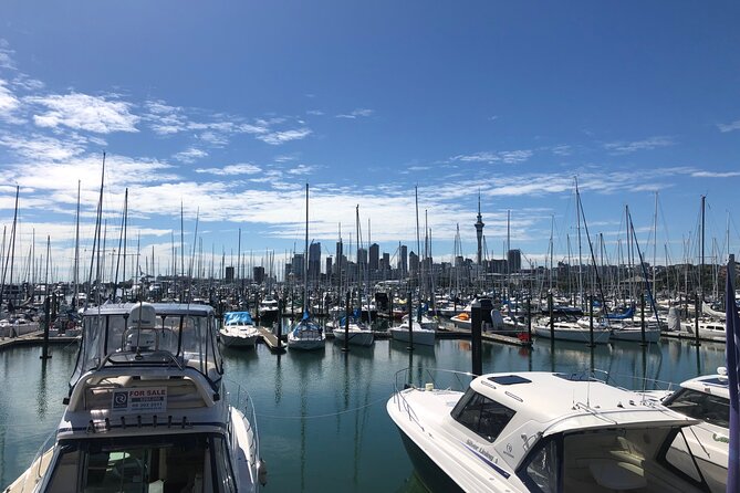 Private Auckland Half Day Tour - Key points to know before booking