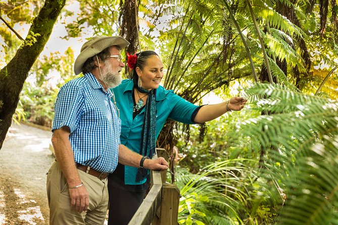 Private Auckland Half Day Tour - Auckland Domain and the museum exterior