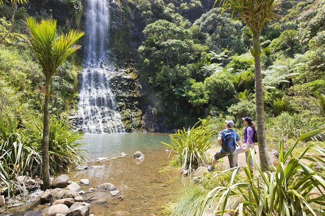 Private Auckland Luxury Tour - Why this Auckland tour works well