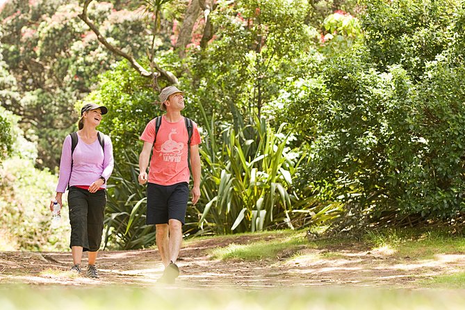 Private Auckland Luxury Tour - The walk up Mount Eden