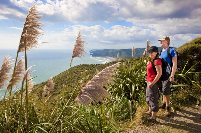 Private Auckland Luxury Tour - Karekare Falls and the western ranges