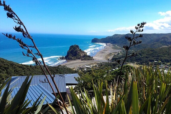 Private Auckland Sightseeing - Full Day/Half Day Hidden Gems Tour - A private Auckland day built around your interests