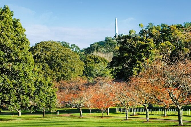 Private Auckland Sightseeing - Full Day/Half Day Hidden Gems Tour - Arataki Visitor Centre and Waitākere forest views