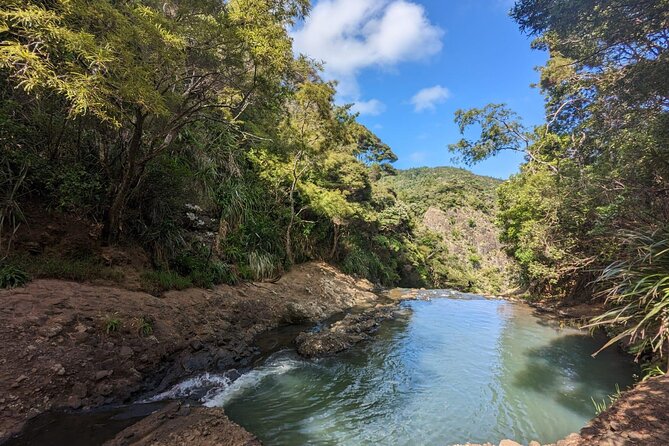 Private Auckland Sightseeing - Full Day/Half Day Hidden Gems Tour - Central Auckland without the usual rush