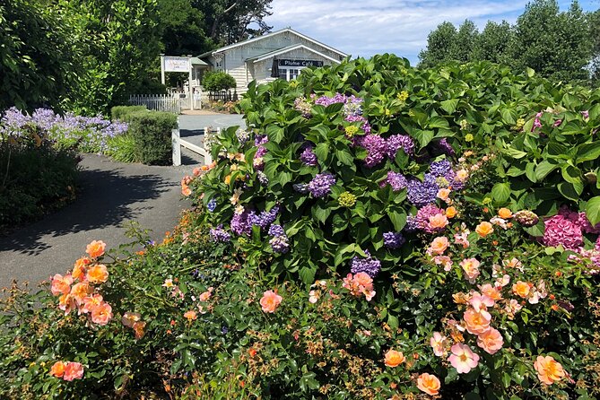 Private Auckland Wine & Dine Matakana Country & Cuisine - Wine, lunch, and views without a rushed schedule