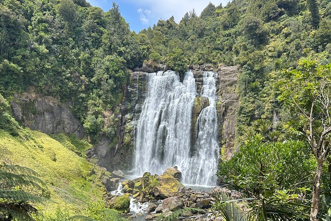 Private Driver Hire – Full-Day Touring-Auckland/Rotorua/Hamilton - What this private Auckland and Rotorua service really offers