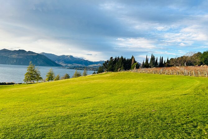 Private Driver Hire – Full-Day Touring-Auckland/Rotorua/Hamilton - Building a day around Auckland, Hamilton, and Rotorua