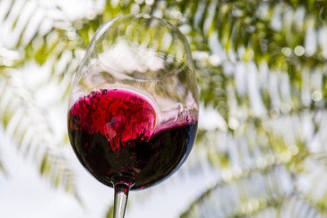 Private Essence of Waiheke Wine Tour - Stonyridge begins the tasting day
