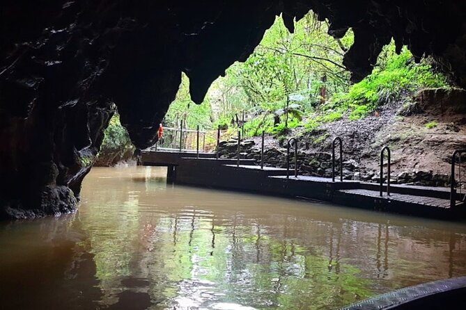 Private Hobbiton & Blue Springs Day Trip from Auckland - What the private format really gives you