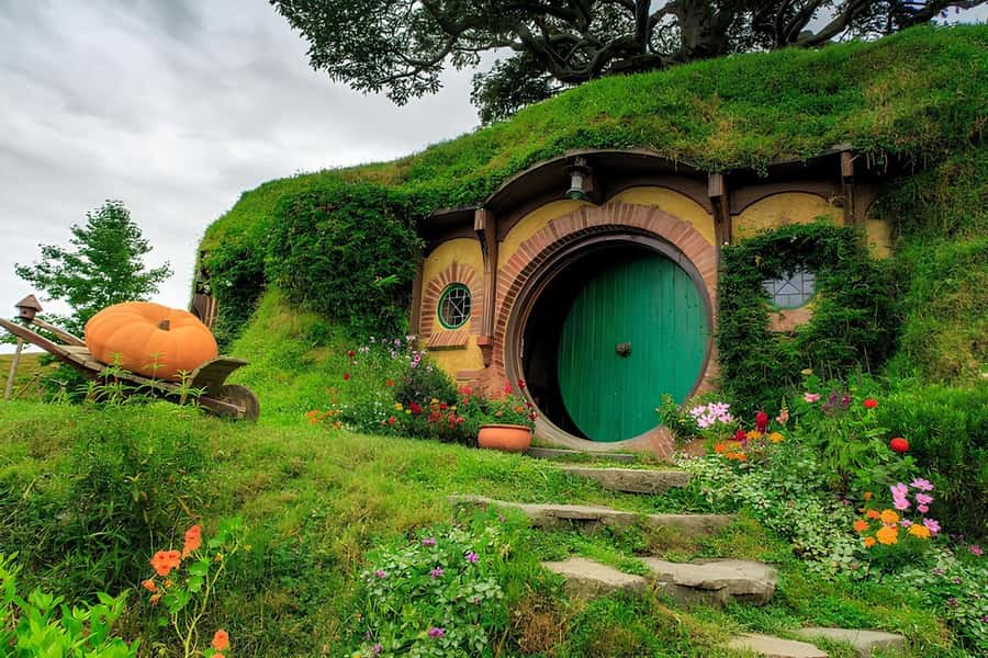 Private Hobbiton & BlueSprings & Redwood forest fromAuckland - Hobbiton: the main event