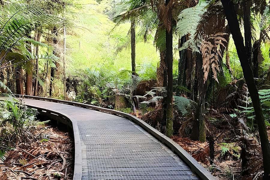 Private Hobbiton & BlueSprings & Redwood forest fromAuckland - What private really means here