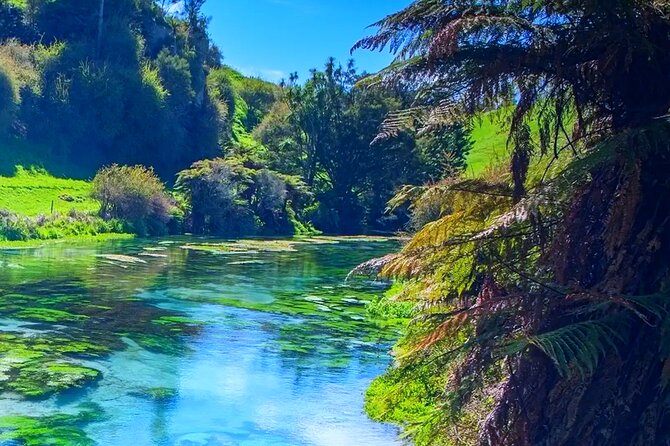 Private Hobbiton, Waitomo Caves, Blue Spring & Hamilton Transfer - Waitomo Glowworm Caves and your ticket choice