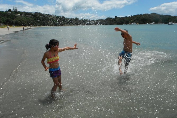 Private Maori Walking Tour with Wine Tasting and Lunch - Why Waiheke Works So Well for a Walking Tour