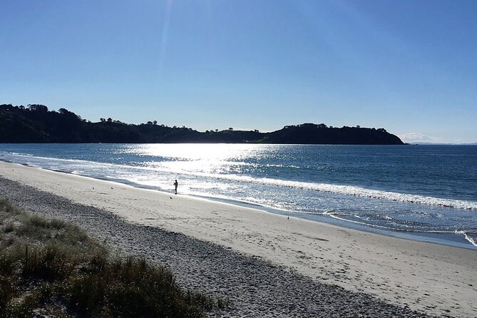Private Personalised Tour in Waiheke Island - Lunch included, with room to set the pace