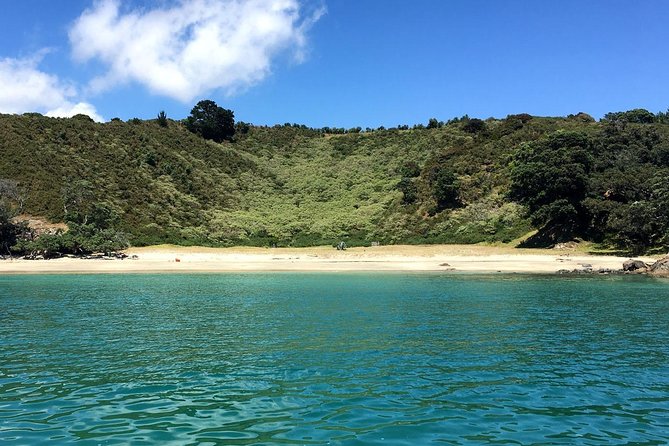Private Personalised Tour in Waiheke Island - Timing, fitness, and practical planning