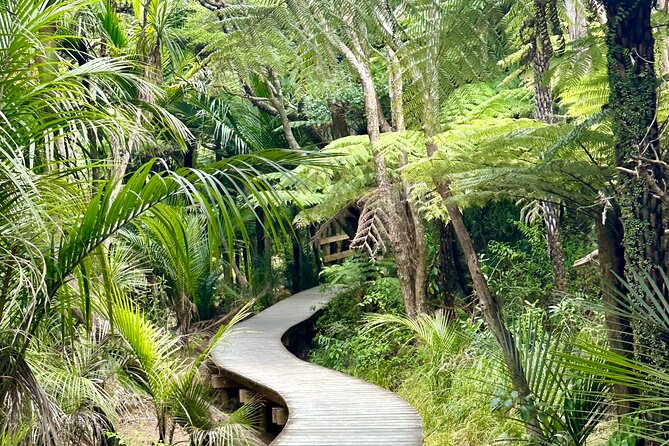 Private Piha Beach, Rainforest Adventure & Mt. Eden with Guide - Why this private Auckland outing works
