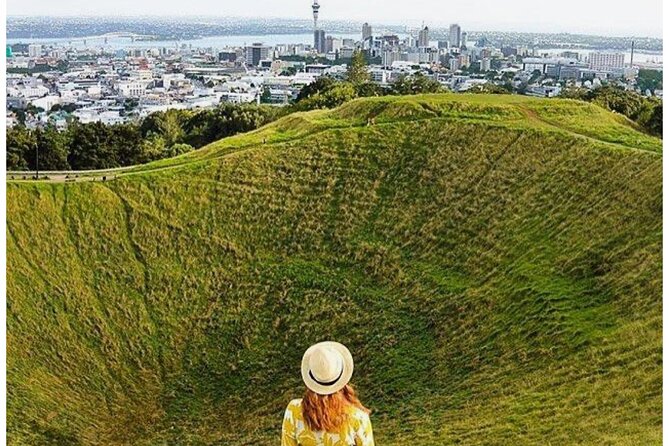 Private Piha Beach, Rainforest Adventure & Mt. Eden with Guide - Guides, vehicle comfort, and the private format